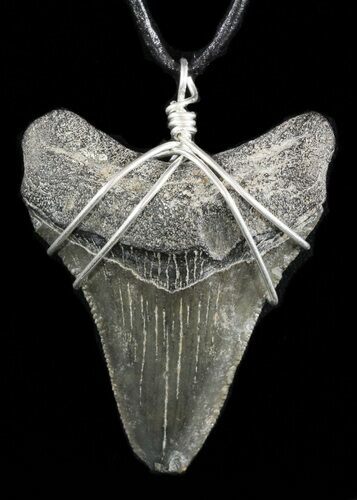 Serrated, Fossil Megalodon Tooth Necklace #47767